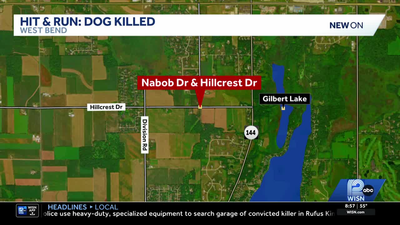 Hit-and-run driver sought after dog killed, pedestrian hurt in West Bend