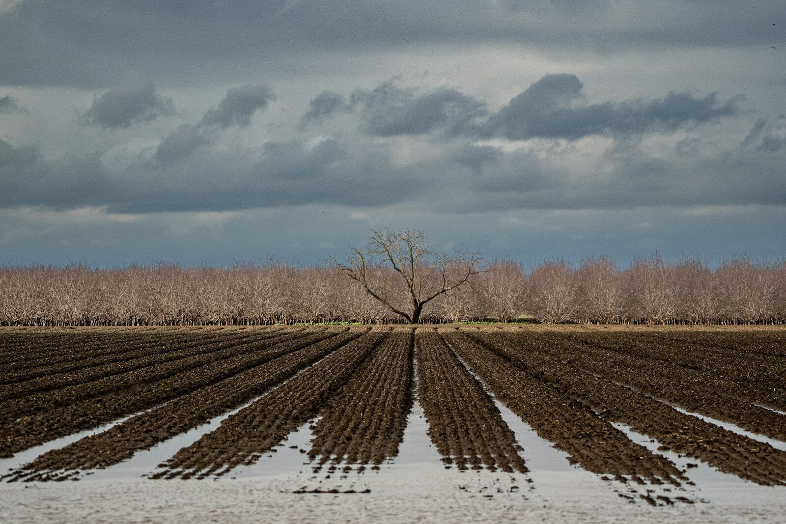 Nearly $15 billion in crops lost to extreme weather in these states