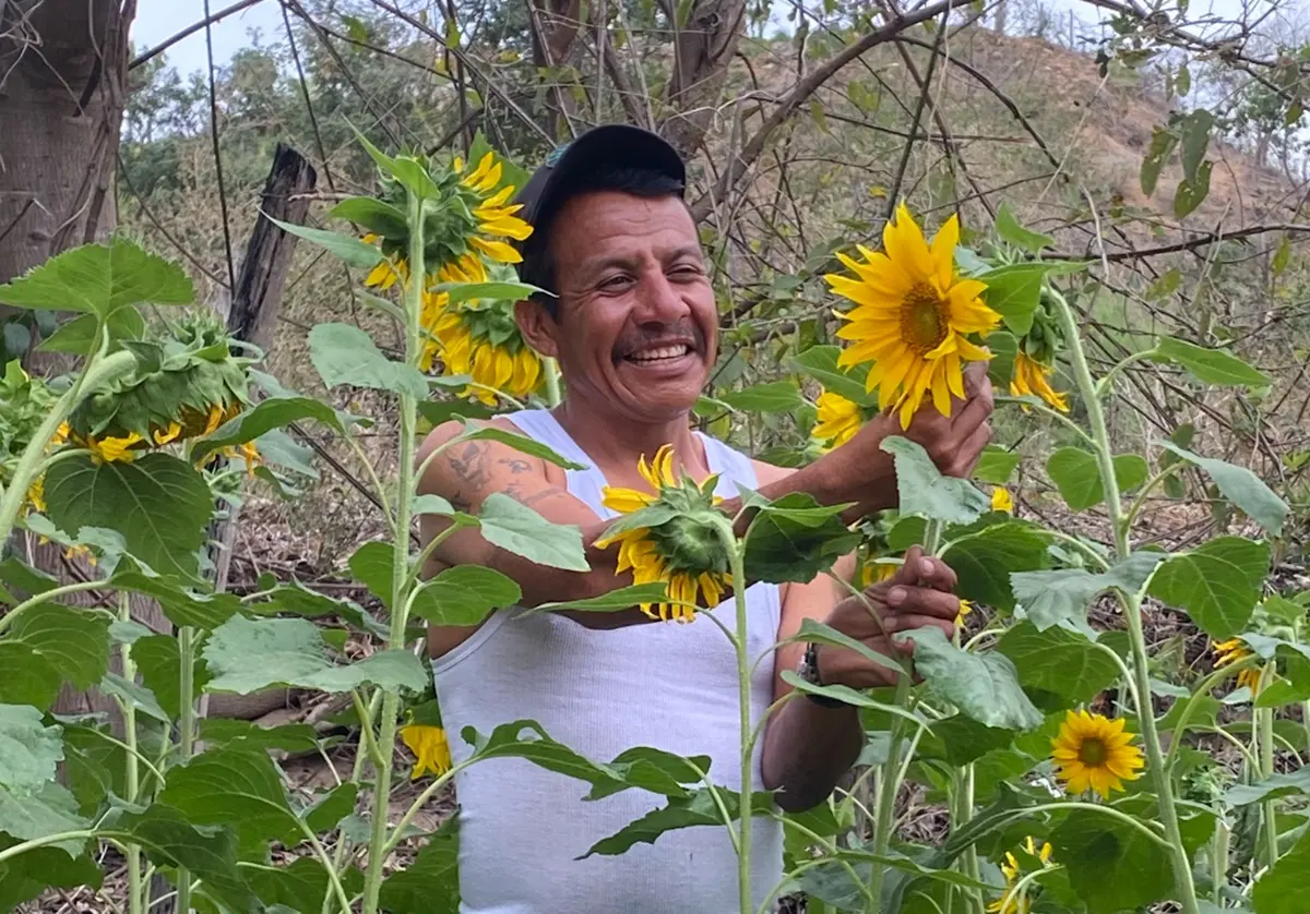 Era su flor favorita: el padre que convirtió el dolor en un campo de ...