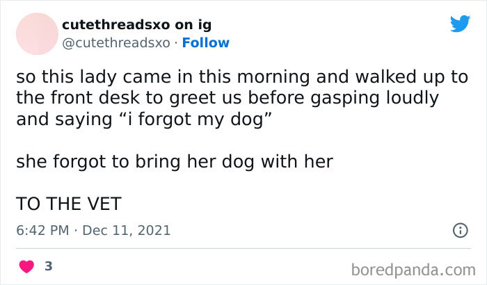 Awkward Animals: 48 Pics ‘For Animal Lovers Of All Kinds’