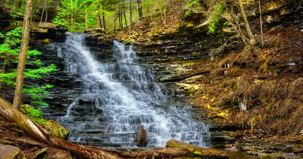 5 picture-perfect nature trails in Pennsylvania for a spring hike