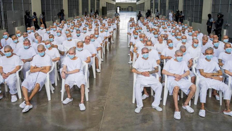 Mass trial for 486 alleged MS-13 gang leaders begins in El Salvador
