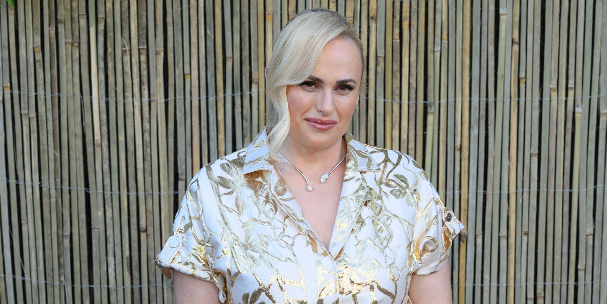 Rebel Wilson accused of sharing ‘malicious concoctions’ about actress, court hears