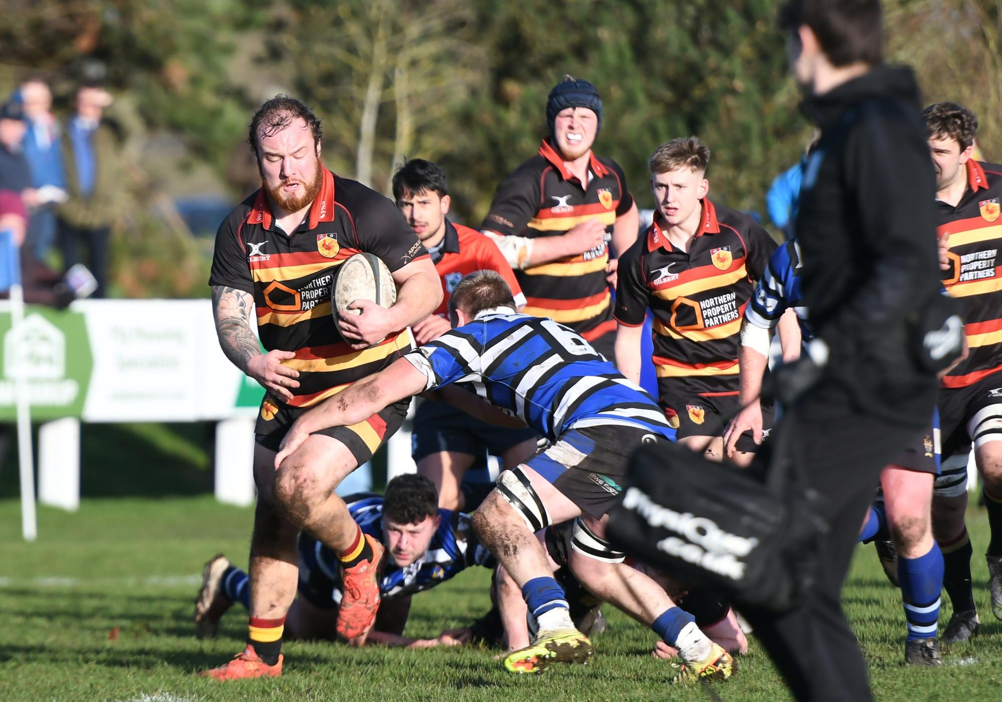 Harrogate RUFC 'excited' by the pressure of knock-out rugby ahead of ...