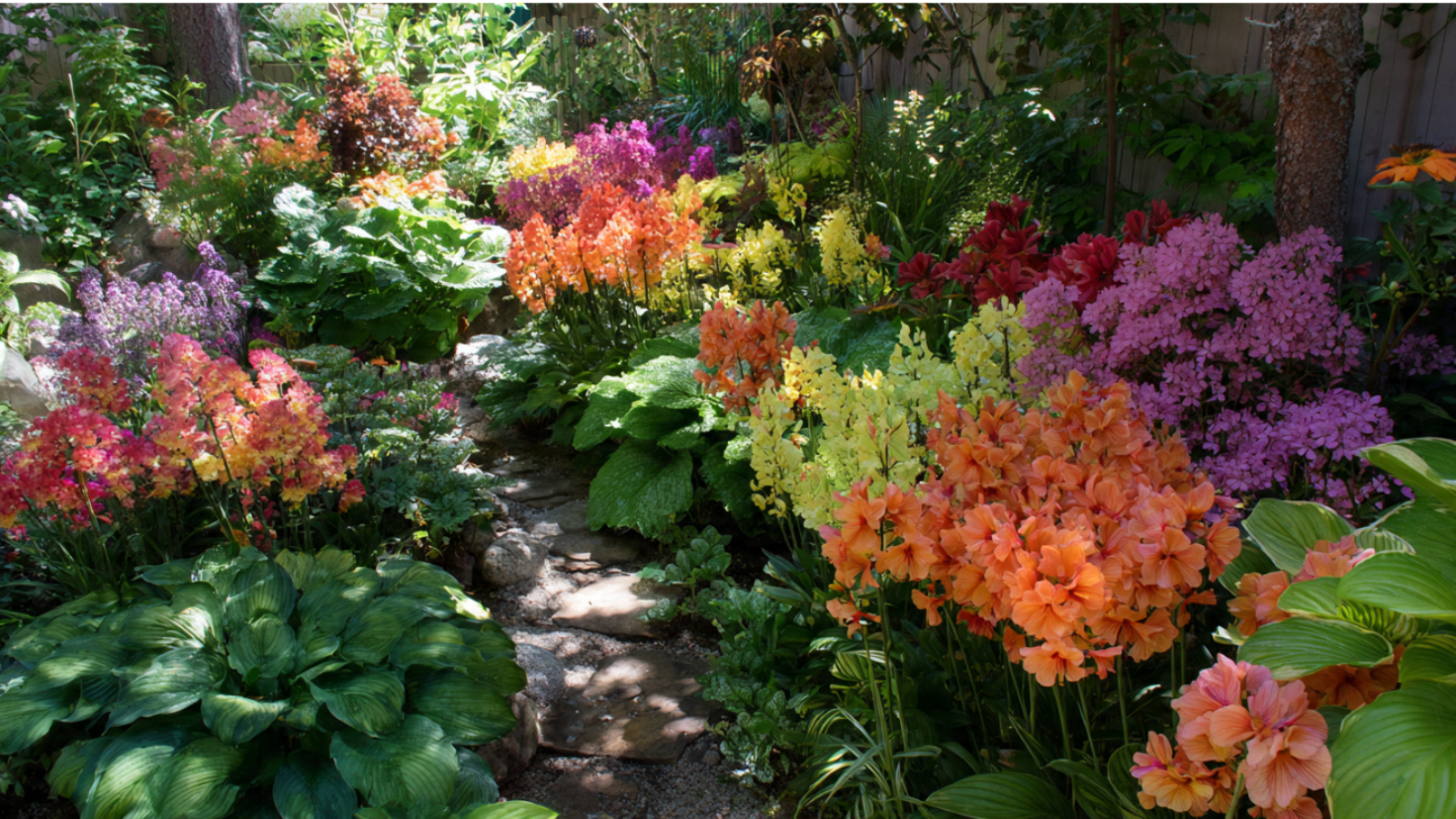 5 shade loving perennials for easy garden blooms