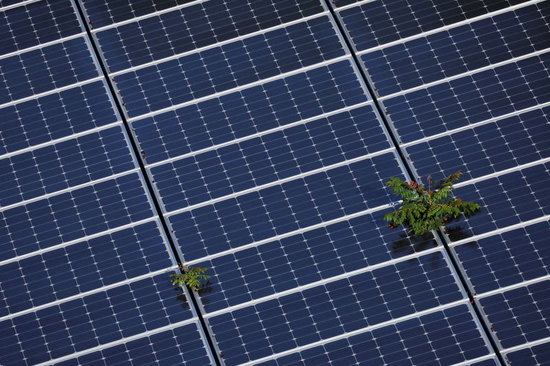 US judge blocks Trump administration actions stymieing wind, solar projects