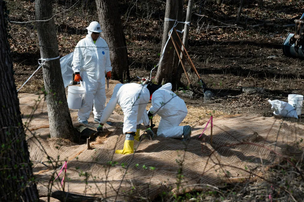 DOJ sues DC Water over massive Potomac River sewage spill