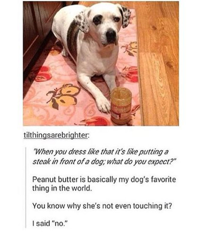 Awkward Animals: 48 Pics ‘For Animal Lovers Of All Kinds’