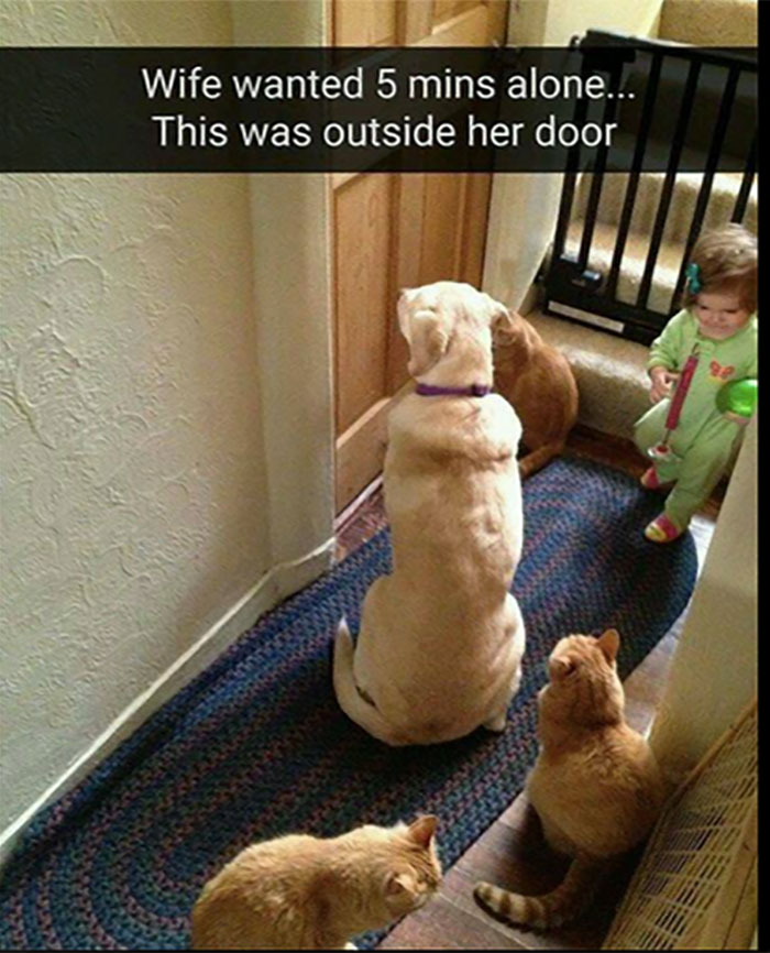 Awkward Animals: 48 Pics ‘For Animal Lovers Of All Kinds’