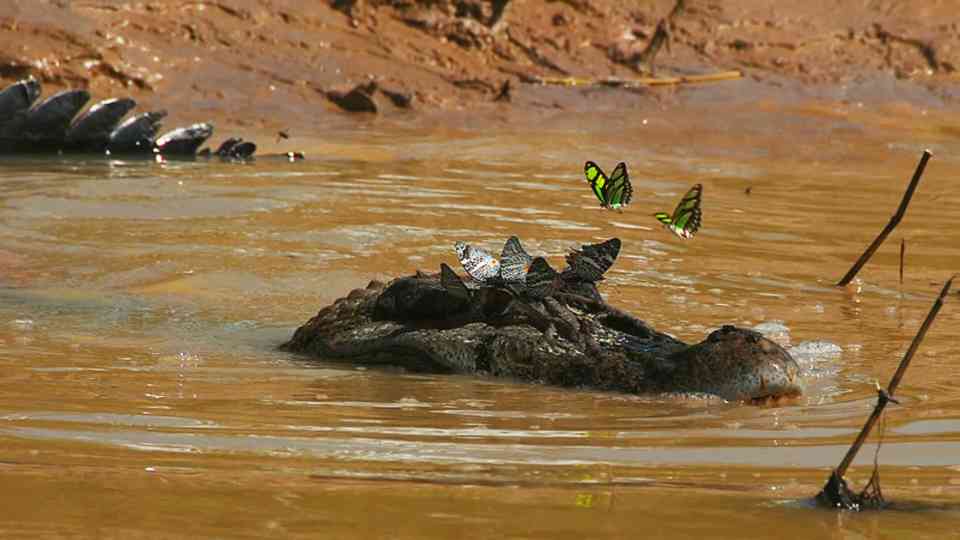 This river feeds millions - but it hides a dark secret