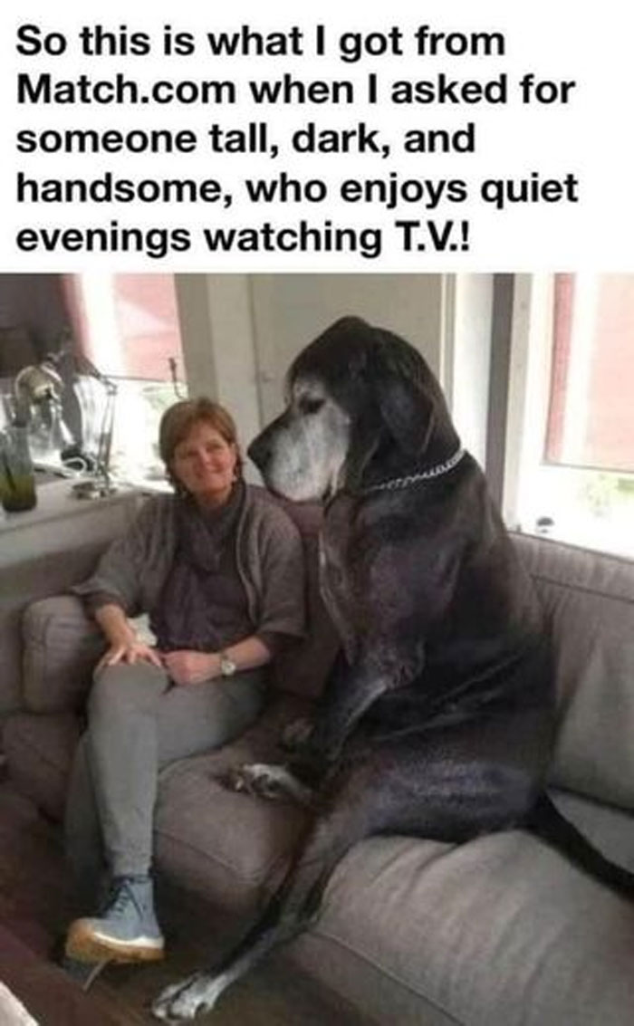 Awkward Animals: 48 Pics ‘For Animal Lovers Of All Kinds’