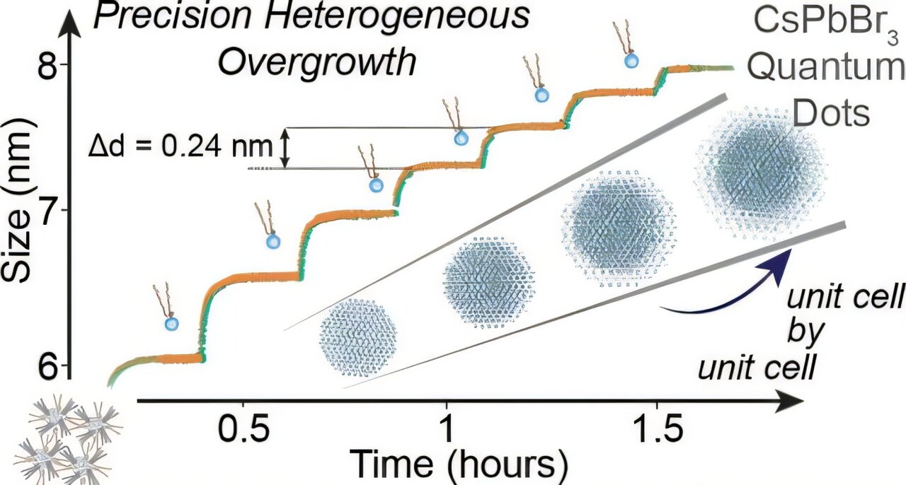 Perovskite quantum dots crack two big barriers, staying stable in polar ...