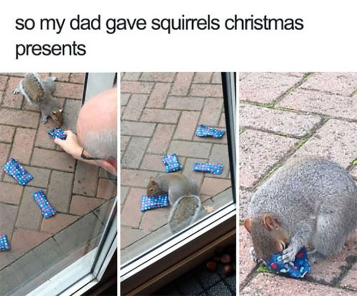Awkward Animals: 48 Pics ‘For Animal Lovers Of All Kinds’