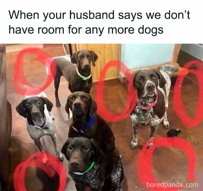 Awkward Animals: 48 Pics ‘For Animal Lovers Of All Kinds’