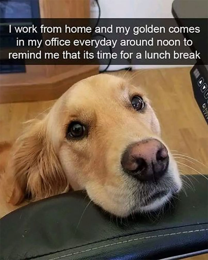 Awkward Animals: 48 Pics ‘For Animal Lovers Of All Kinds’