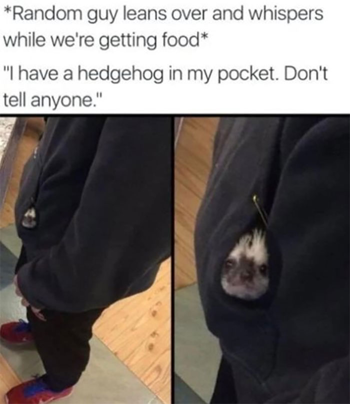 Awkward Animals: 48 Pics ‘For Animal Lovers Of All Kinds’