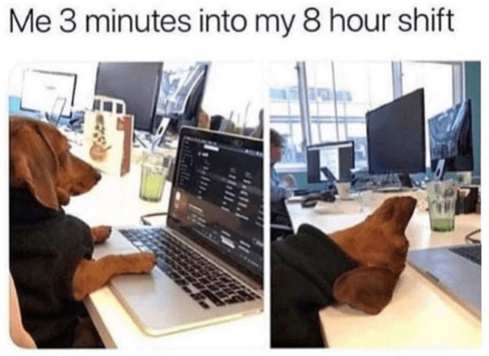 Awkward Animals: 48 Pics ‘For Animal Lovers Of All Kinds’