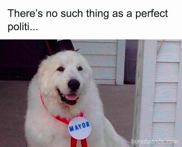 Awkward Animals: 48 Pics ‘For Animal Lovers Of All Kinds’