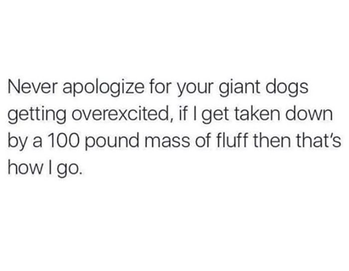Awkward Animals: 48 Pics ‘For Animal Lovers Of All Kinds’