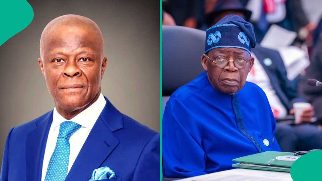 Main reason why Tinubu sacked finance minister Wale Edun, 1 other ...