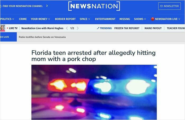 48 wild moments that show just how weird Florida can be