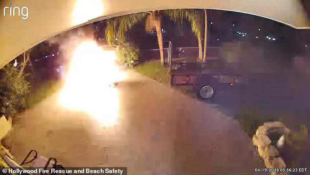 Florida woman dodges death after wheelchair she bought in thrift store ...
