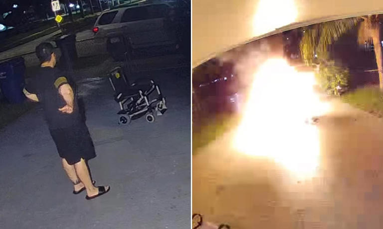 Florida woman dodges death after wheelchair she bought in thrift store ...