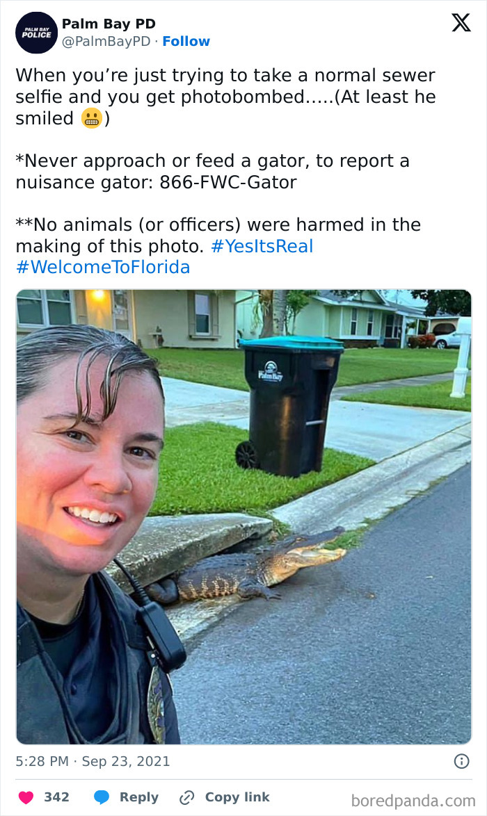 48 wild moments that show just how weird Florida can be