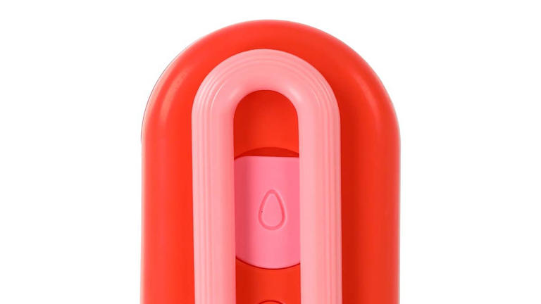 Five Below's handy $5 gadget is the perfect tool for keeping your pup ...
