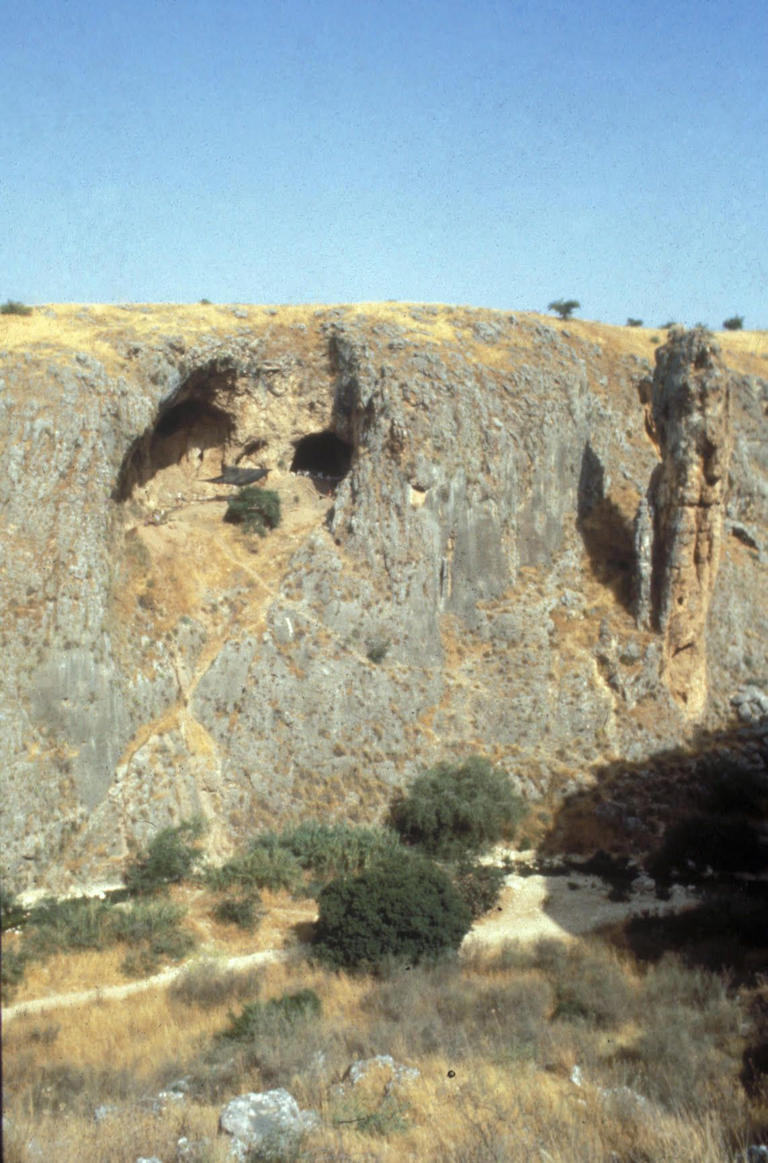 Neanderthal kids grew up so fast—at least compared with their human ...