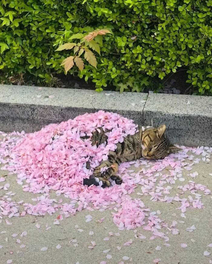 33 strikingly weird images for you to gawk at