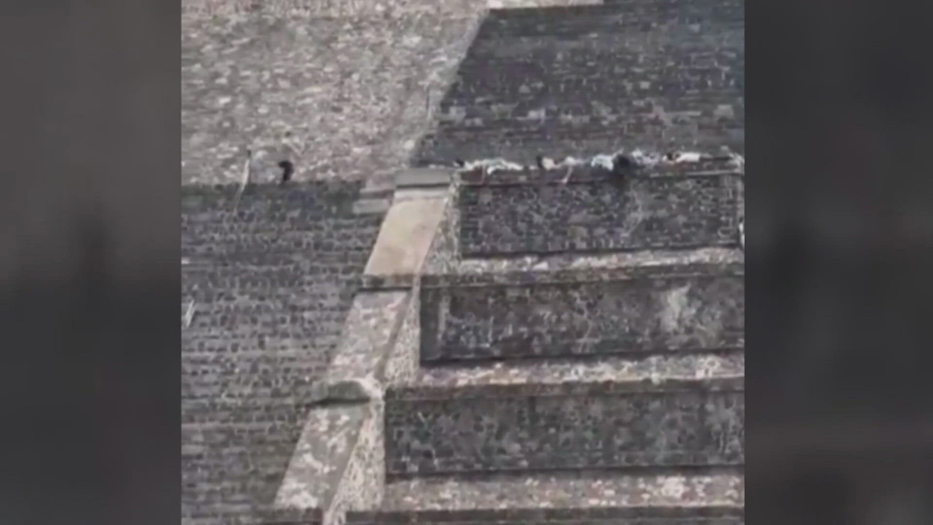 Gunman opened fire from top of ancient pyramid in Mexico