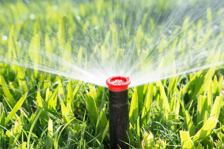 Where to put your sprinklers for a greener lawn and less water waste