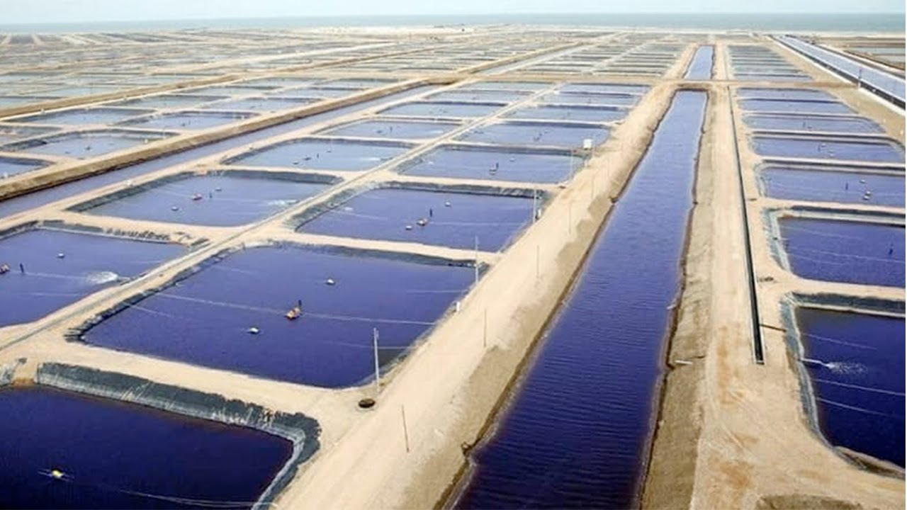 How Israel became a world leader in water innovation: From scarcity to ...