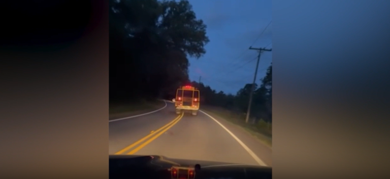 Driver under investigation after school bus seen swerving in Lake ...