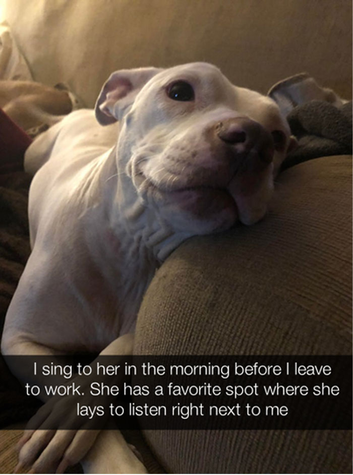 Awkward Animals: 48 Pics ‘For Animal Lovers Of All Kinds’
