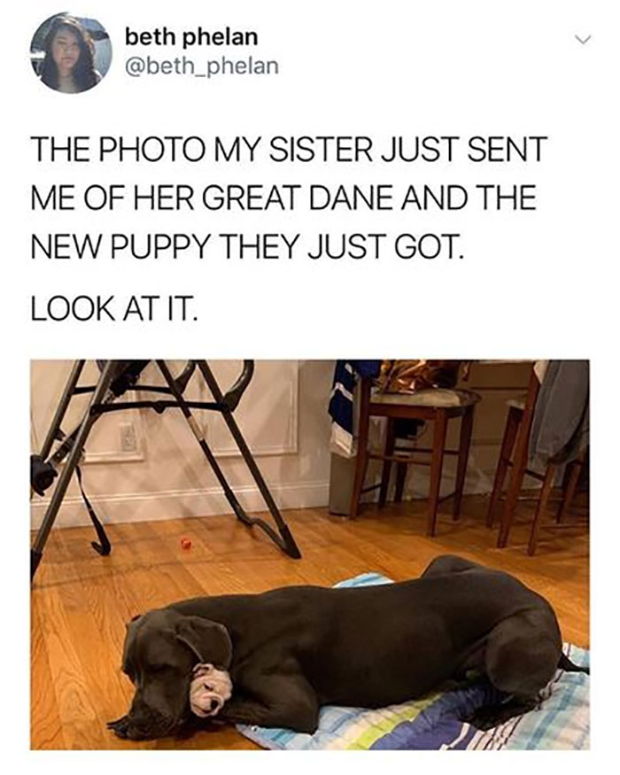 Awkward Animals: 48 Pics ‘For Animal Lovers Of All Kinds’