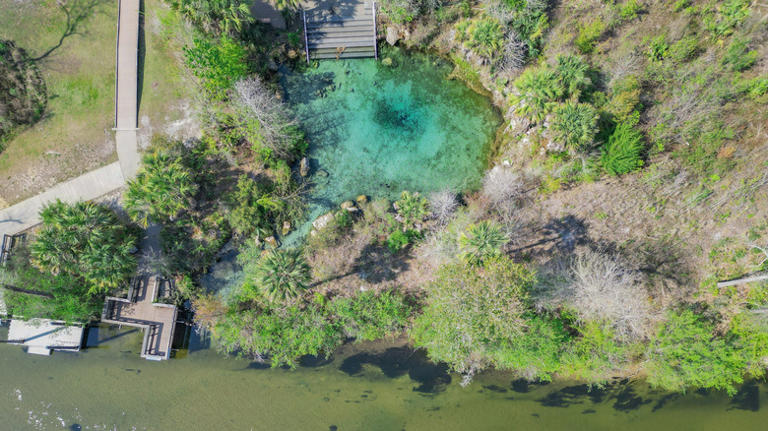 Florida's free natural springs for swimming are the Panhandle's best ...