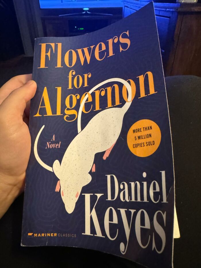 36 Times People Read A Book And Were In Awe