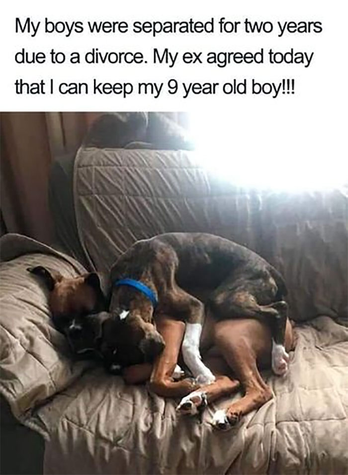 Awkward Animals: 48 Pics ‘For Animal Lovers Of All Kinds’