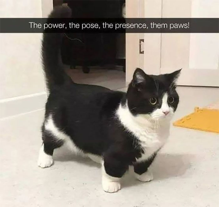 Awkward Animals: 48 Pics ‘For Animal Lovers Of All Kinds’