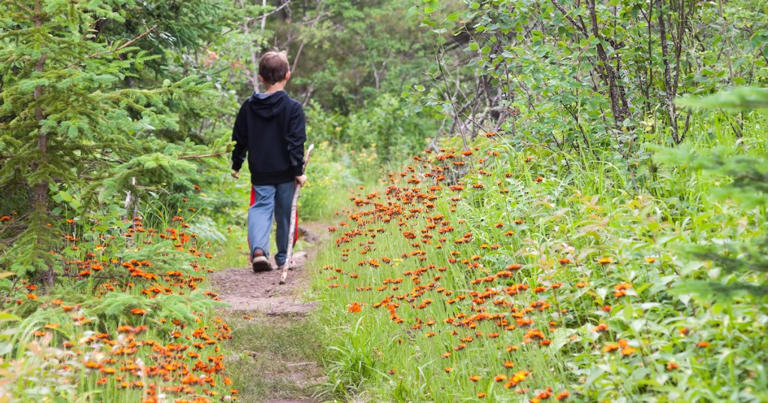 6 beautiful trails in Minnesota that shine in spring