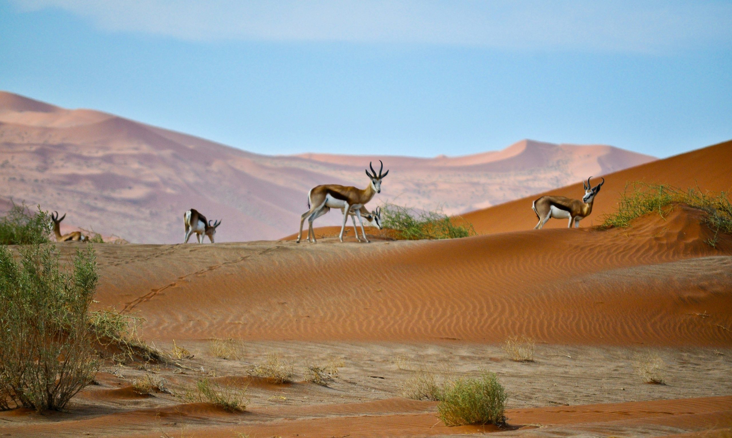 17 unforgettable things to do in Namibia