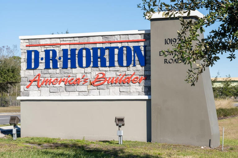 America's largest homebuilder DR Horton says affordability is hitting ...