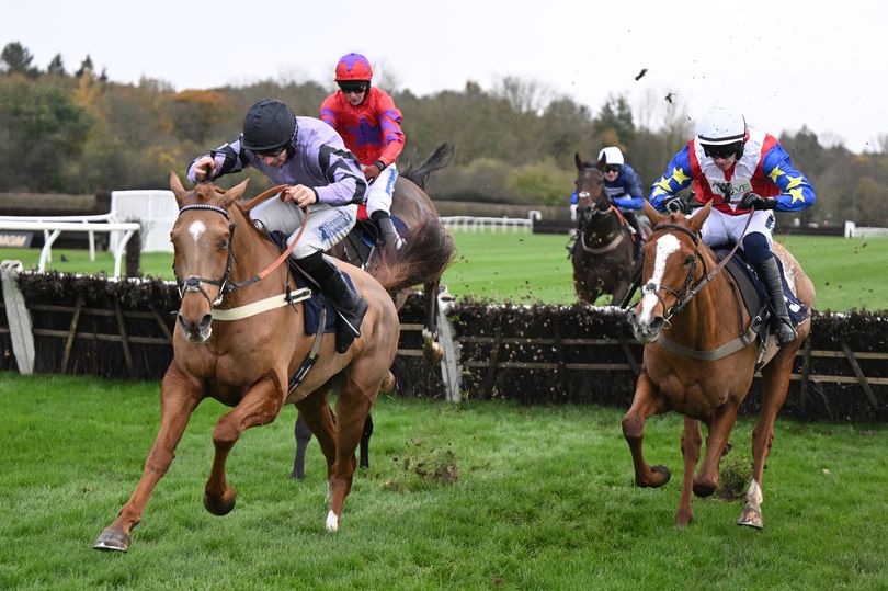 Perth Festival day one – Jason Heavey's Wednesday horse racing tips