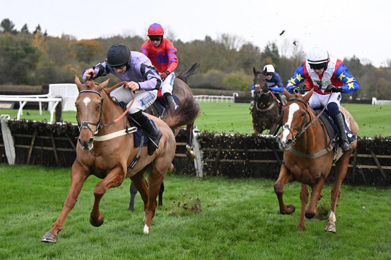 Perth Festival day one – Jason Heavey's Wednesday horse racing tips