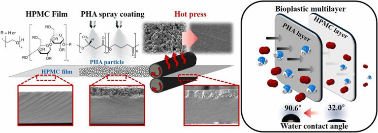 Water-based process could make compostable packaging practical at ...
