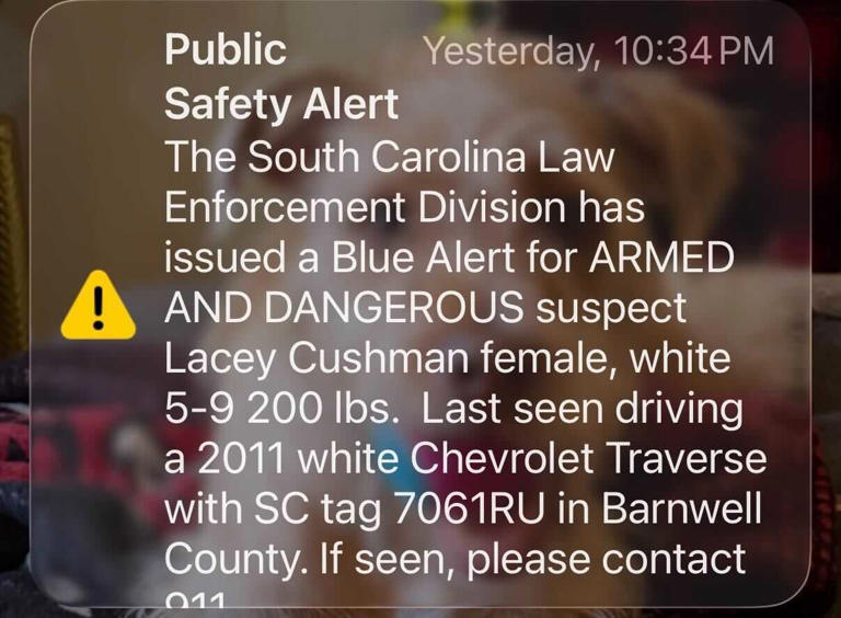 'Her shenanigans can wait': Upstate mayor reacts to statewide alert ...