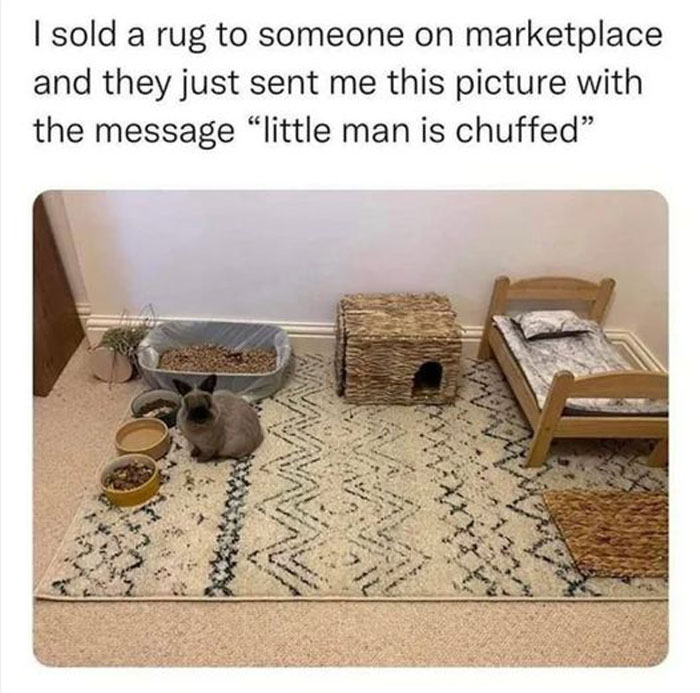 Awkward Animals: 48 Pics ‘For Animal Lovers Of All Kinds’