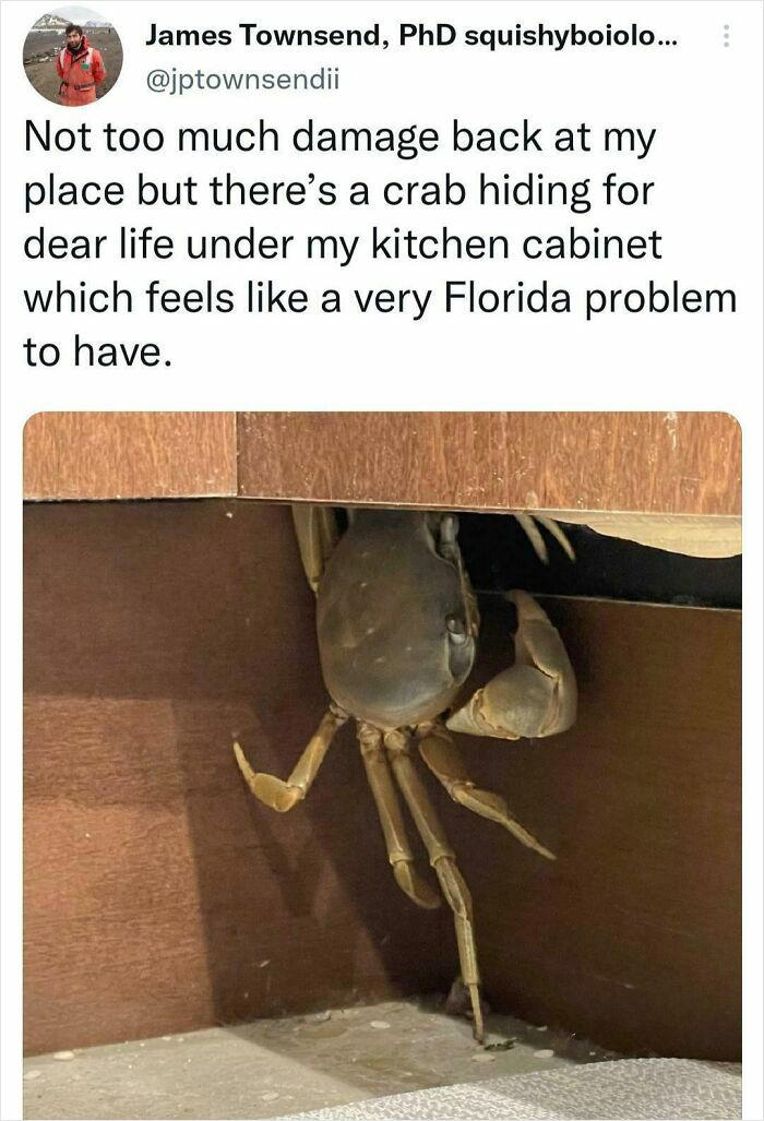 48 wild moments that show just how weird Florida can be